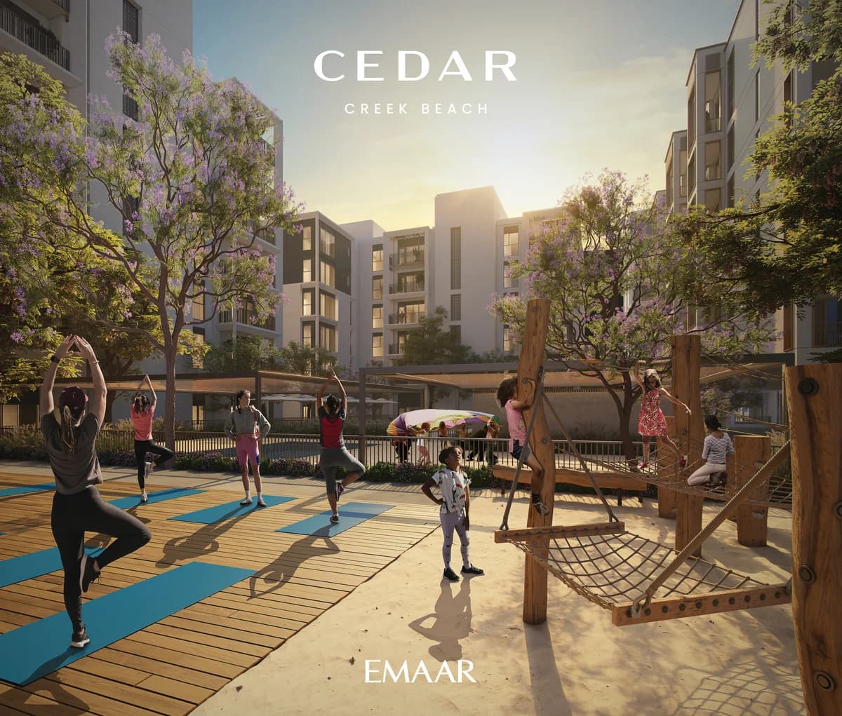 Cedar gallery