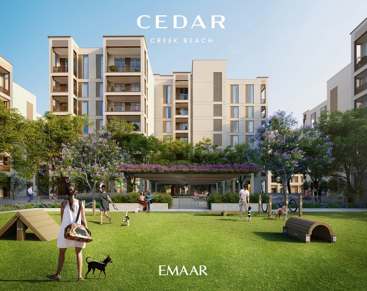 Cedar gallery