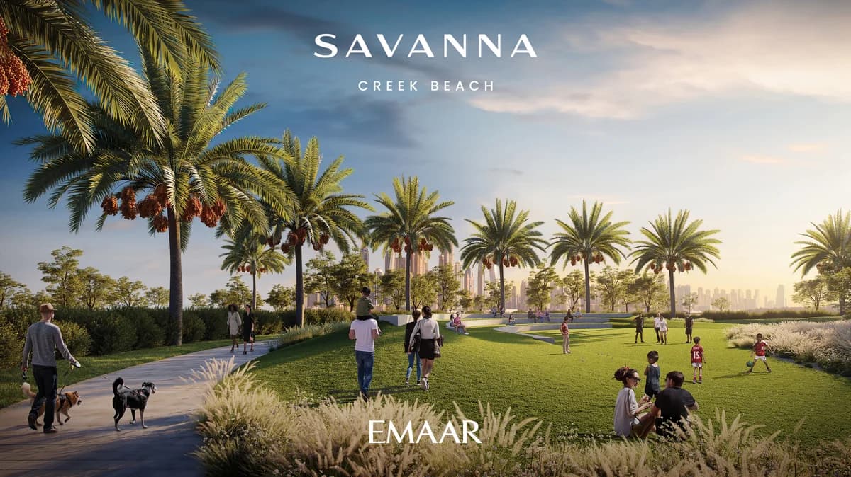Savanna gallery